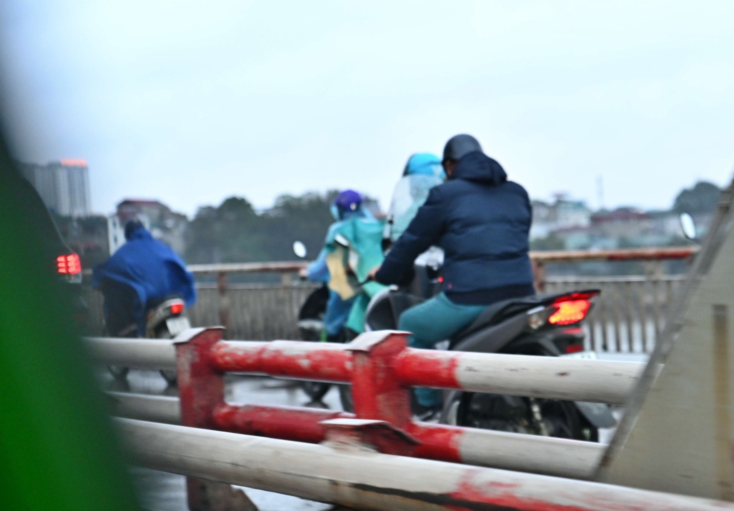 dsc-7558.jpg