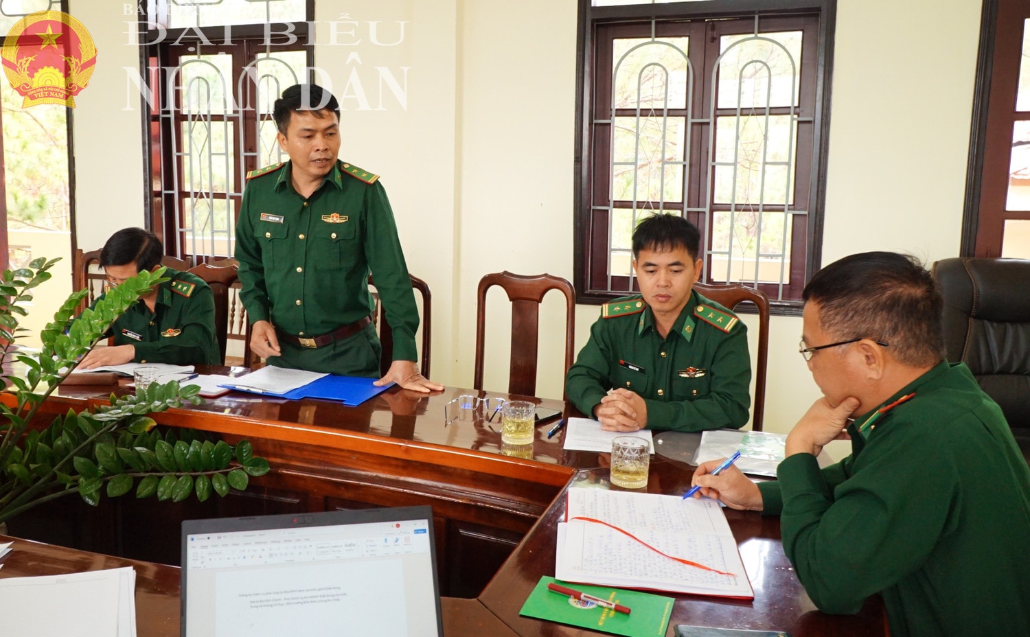 dbnd_tl_010.jpg