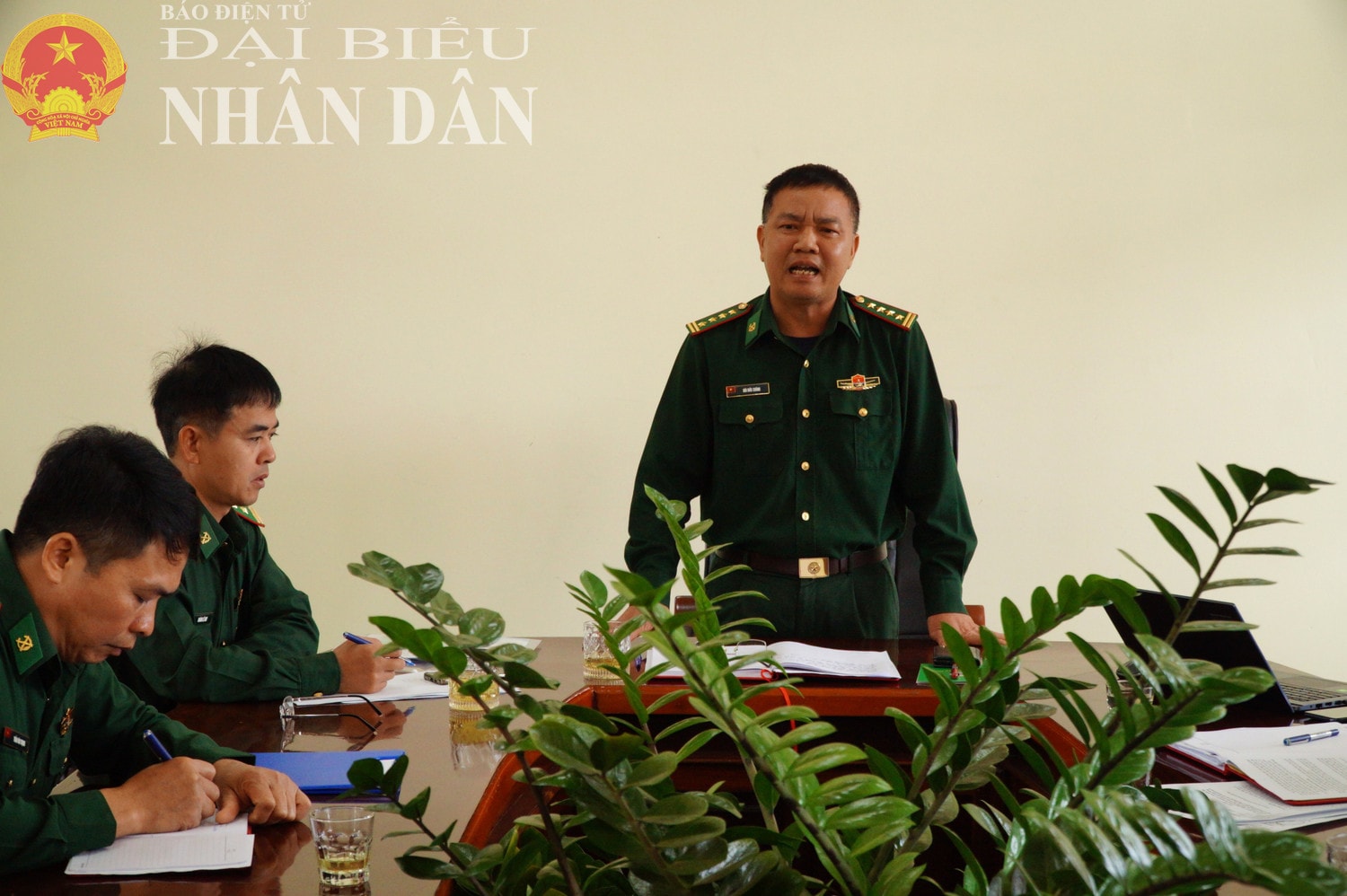 dbnd_tl_011.jpg