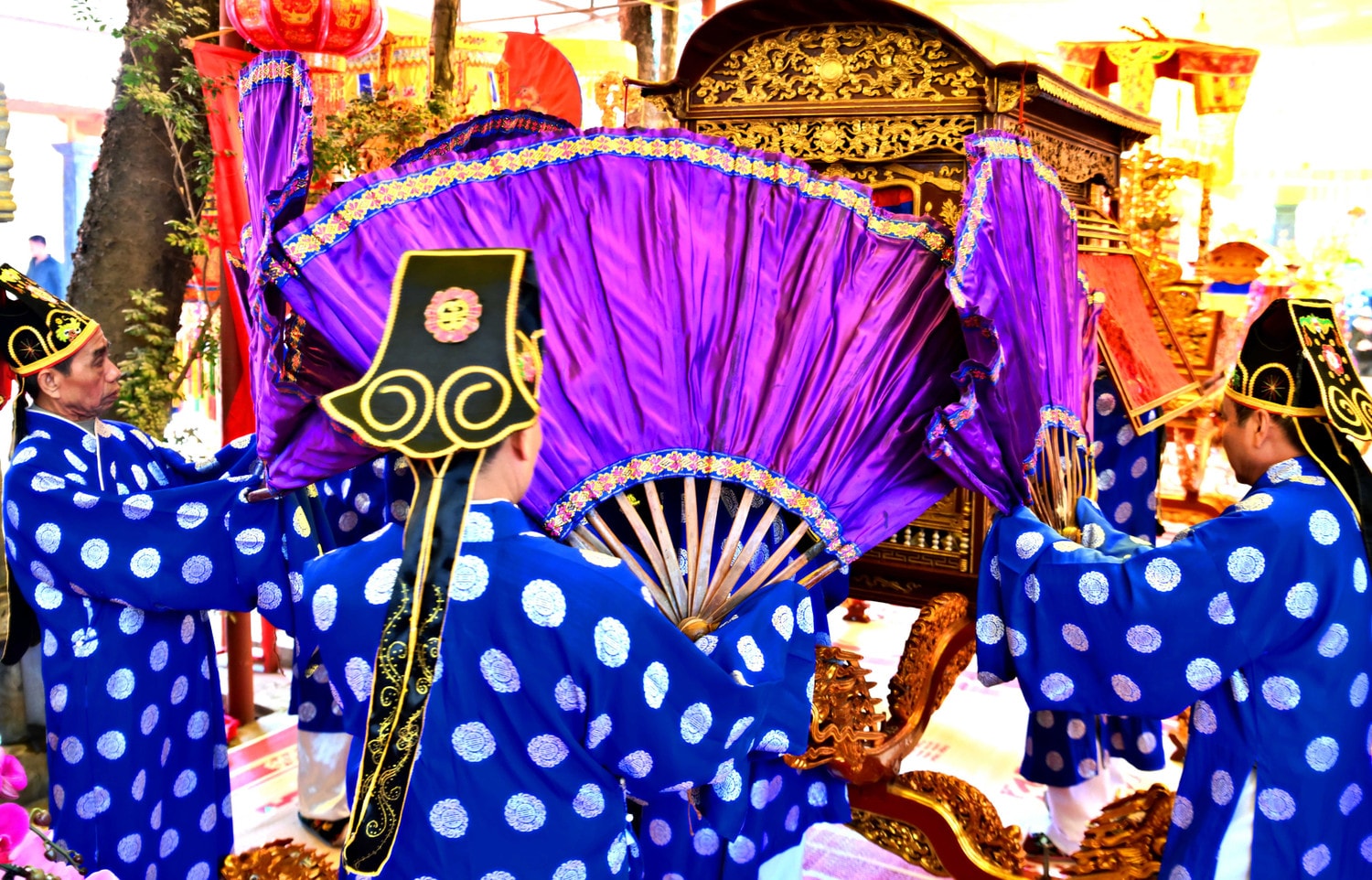 dsc-2976.jpg
