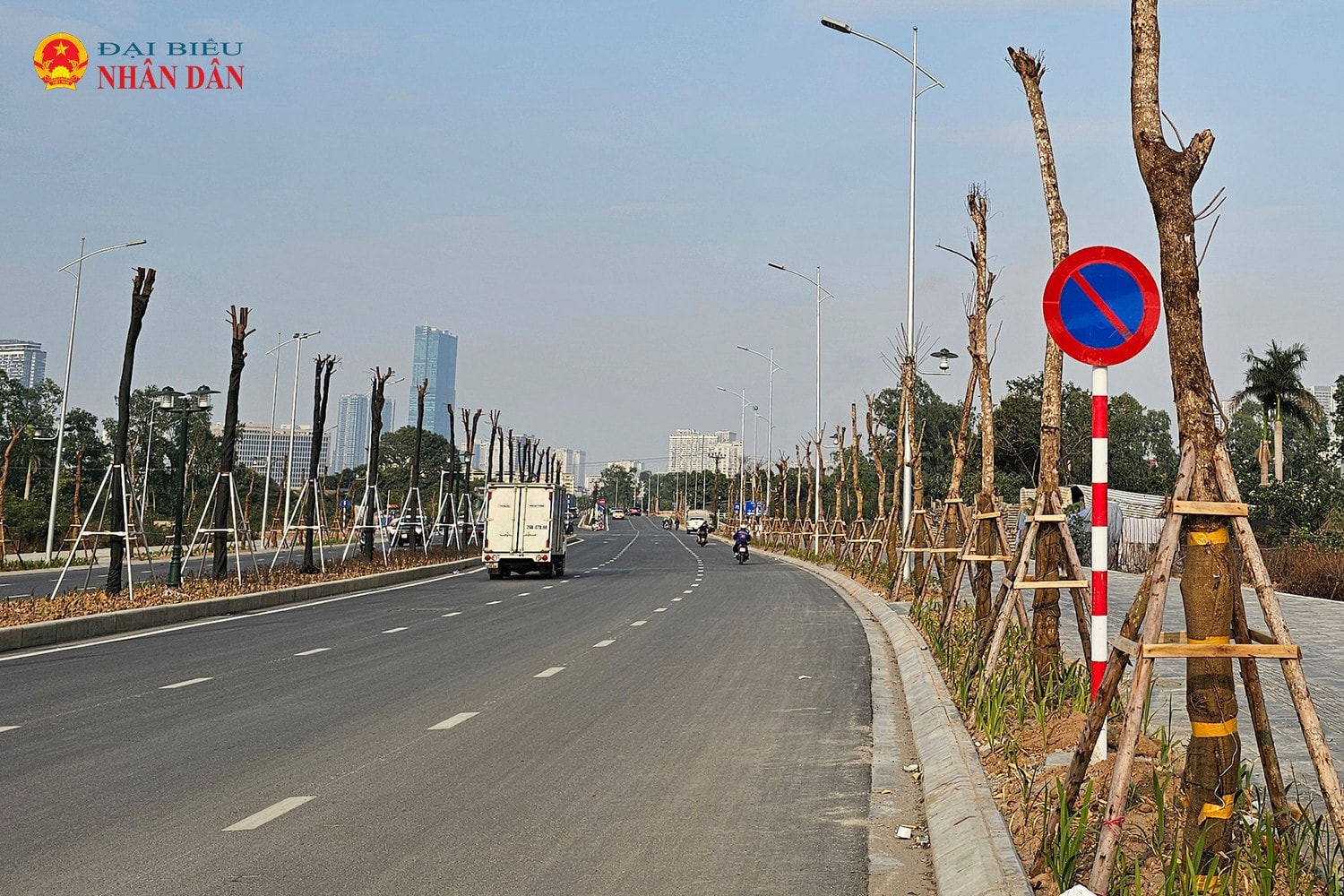 cay-chet-le-quang-dao-keo-dai-2025-7.jpg