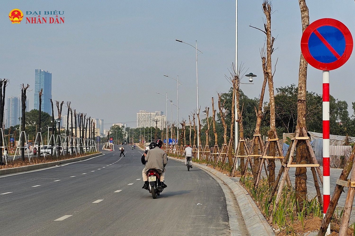 cay-chet-le-quang-dao-keo-dai-2025-8.jpg