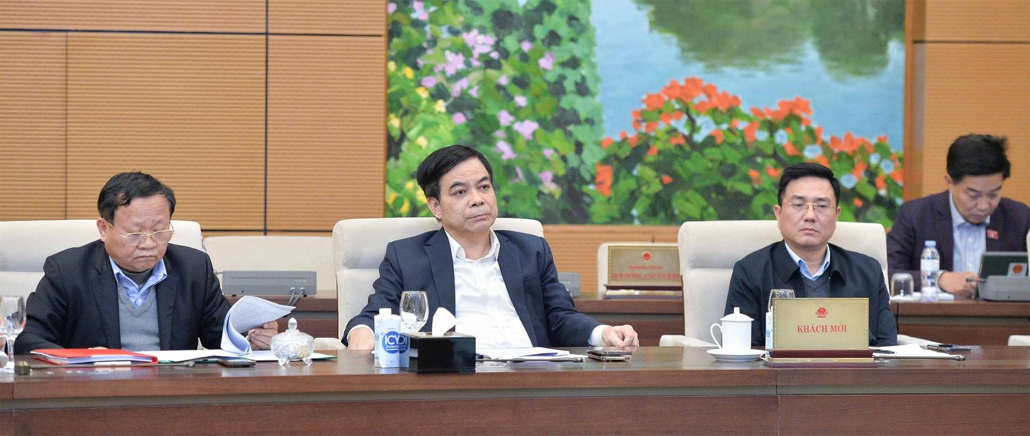 thuong-vu-04.jpg
