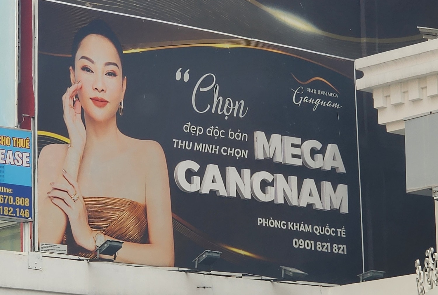 mega-2.jpg