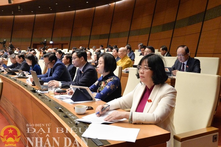 The deputies at the session. Photo: Lam Hien doan-ha-noi.jpg