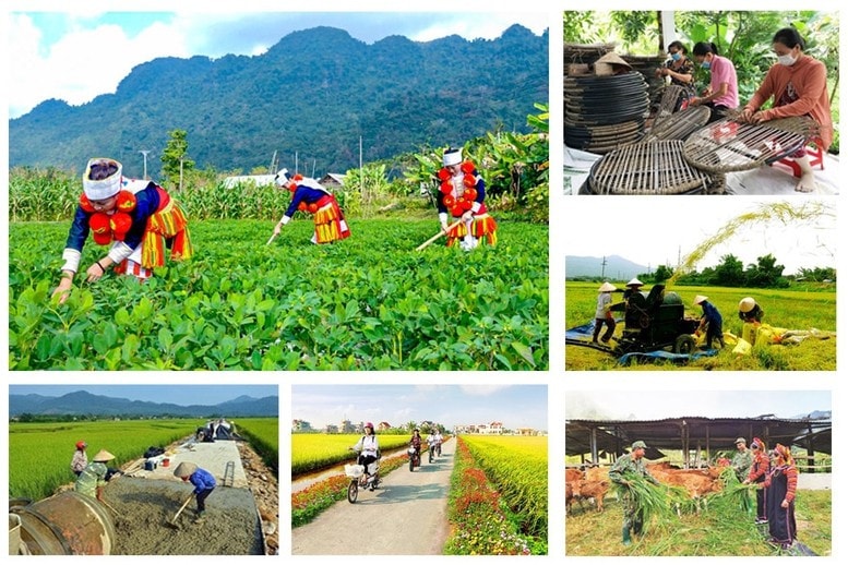Thủ tướng ủy quyền 3 Bộ, cơ quan thông báo mục tiêu, nhiệm vụ năm 2025 của các chương trình mục tiêu quốc gia ảnh 1
