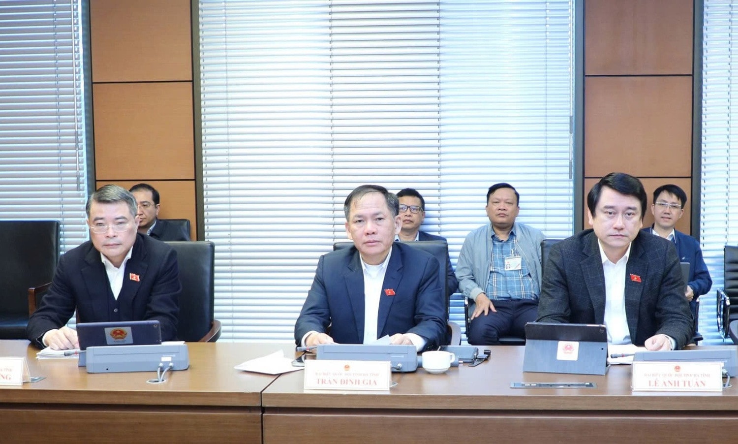 dai-bieu-to-16.jpg