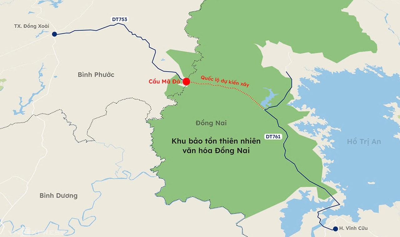 cau-ma-da.jpg