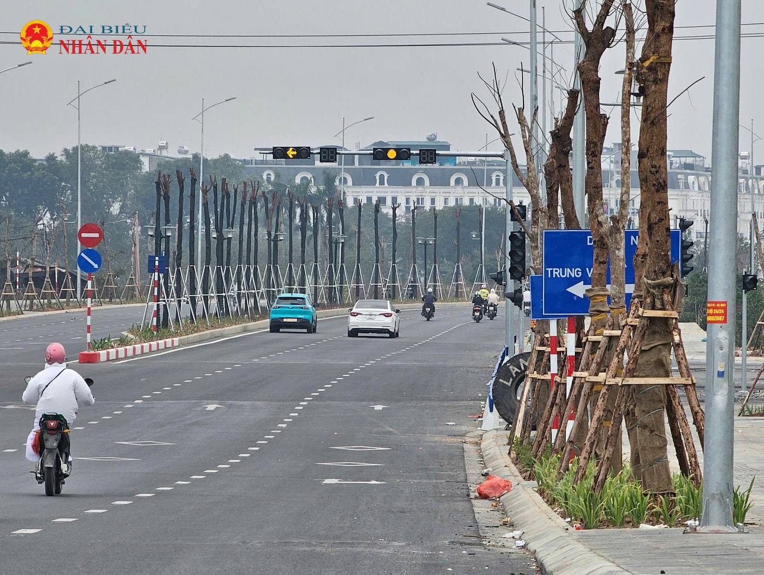 duong-le-quang-dao-keo-dai-5.jpg