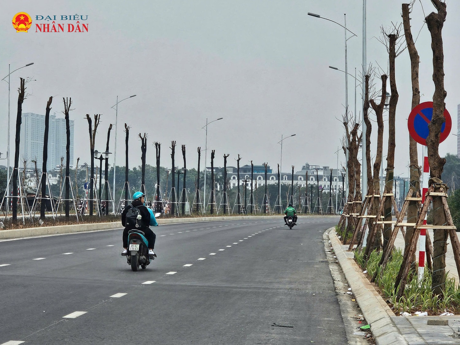 duong-le-quang-dao-keo-dai-4.jpg