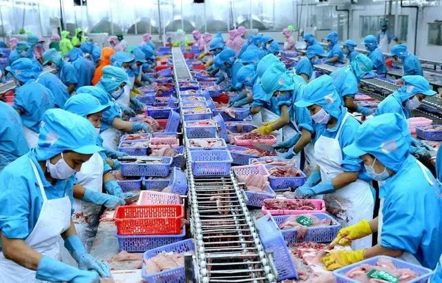 Chưa thể đoán định được liệu thủy sản Việt Nam có bị áp thuế mới hay không và khi nào bị áp dụng. Nguồn: ITN