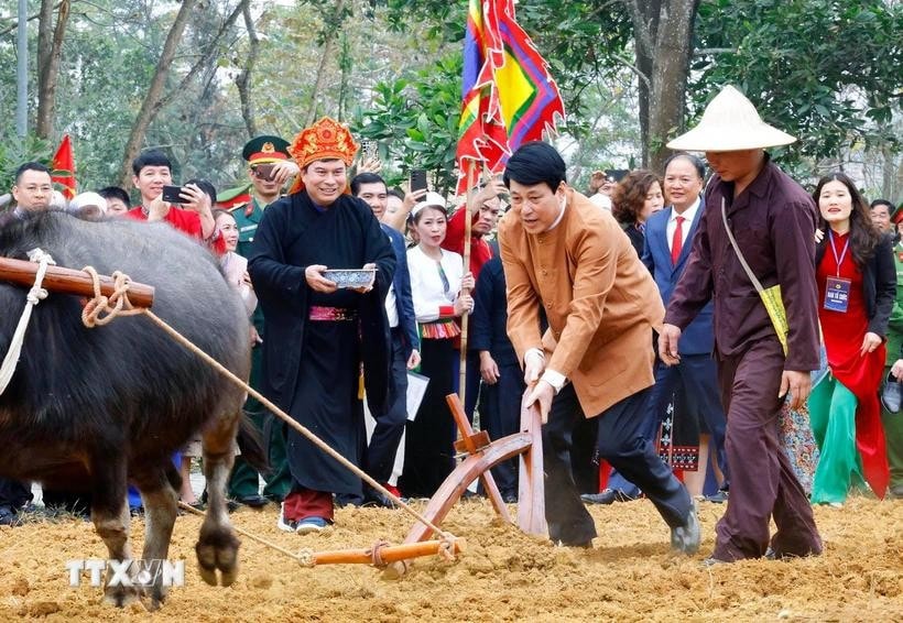 Chủ tịch nước Lương Cường thực hiện nghi thức mở xá cày đầu tiên trong Lễ xuống đồng của dân tộc Mường. Ảnh: Lâm Khánh/TTXVN