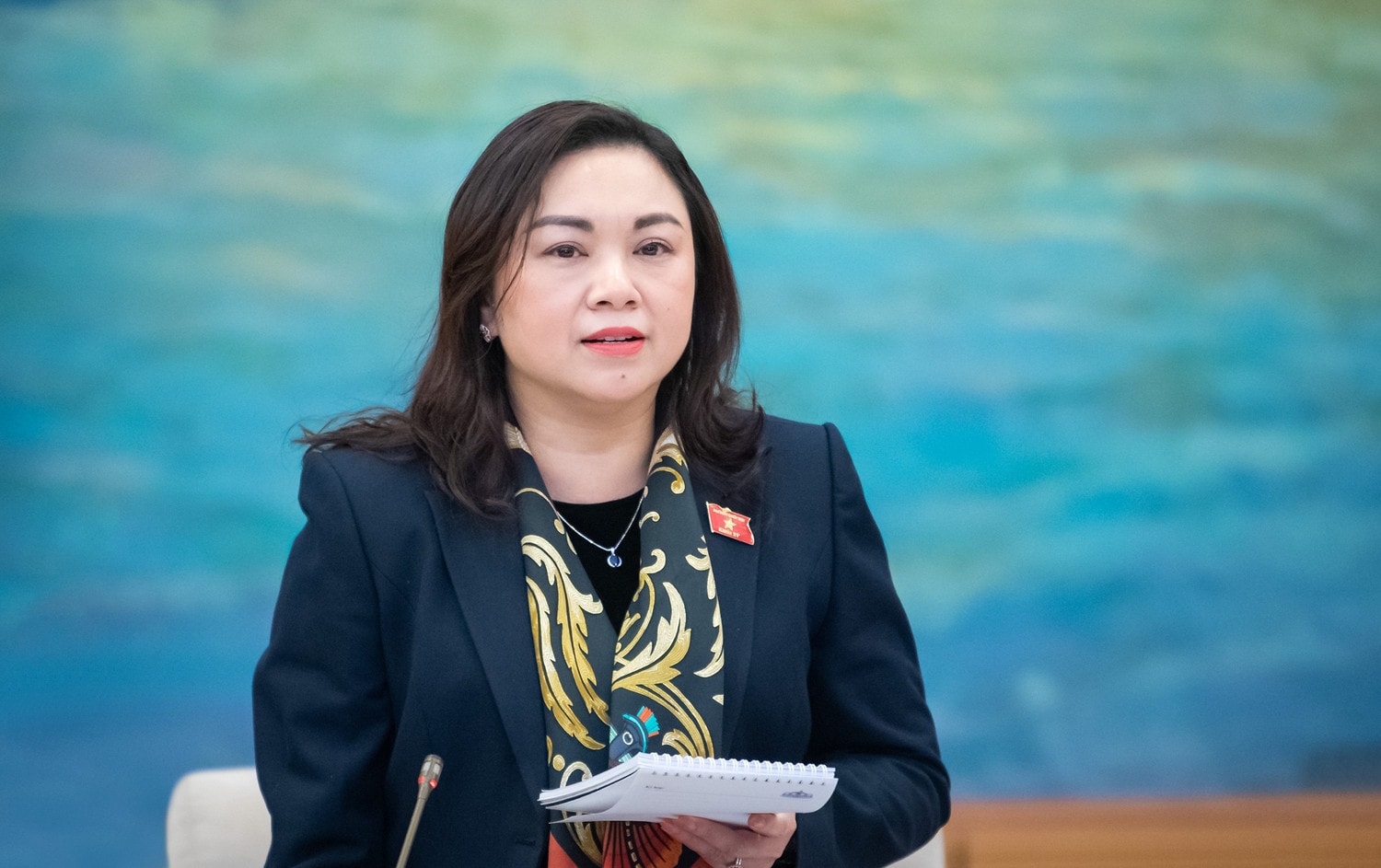 ĐBQH Đặng Bích Ngọc (Hòa Bình) phát biểu