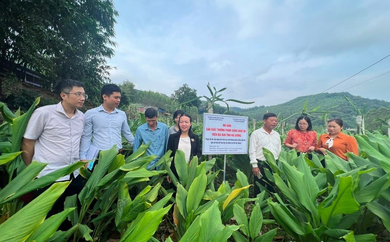 Các đề tài, dự án khoa học và công nghệ tập trung chủ yếu ở lĩnh vực nông nghiệp, nông thôn