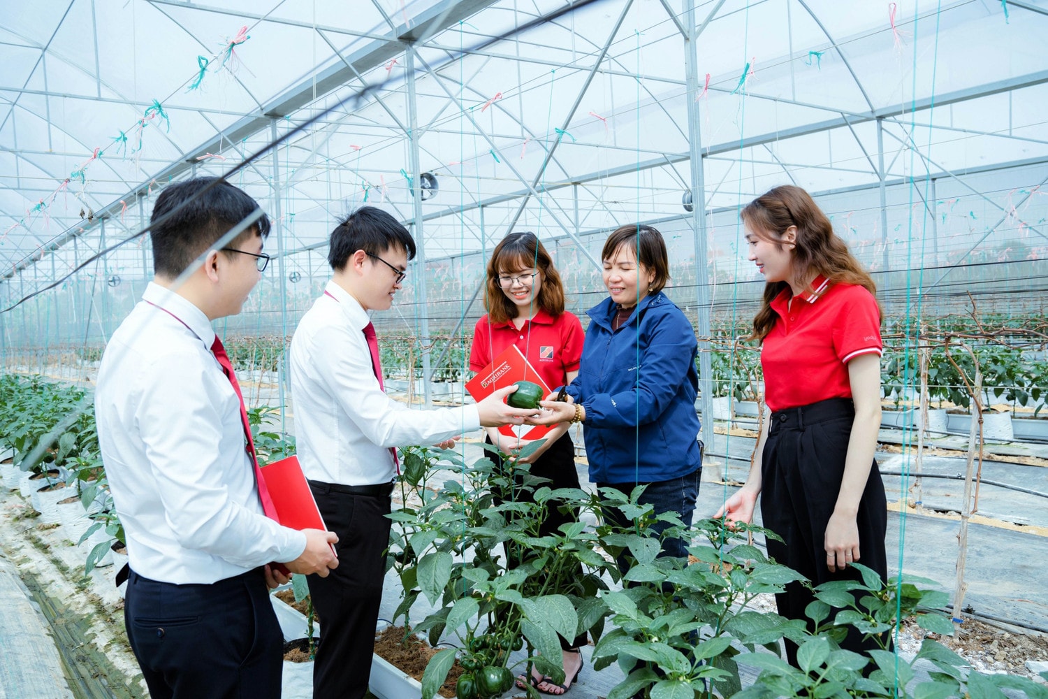 Đầu năm 2025, Agribank triển khai 9 chương trình tín dụng quy mô trên 350 nghìn tỷ đồng nhằm hỗ trợ sản xuất, kinh doanh. Ảnh: Agribank