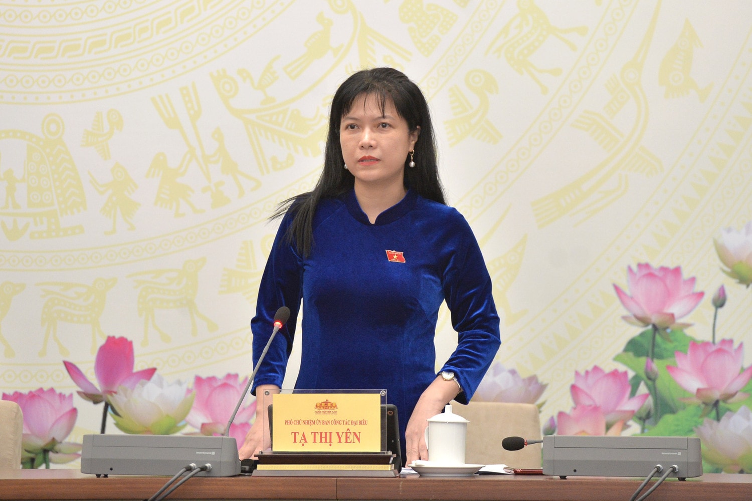 pho-chu-nhiem-uy-ban-cong-tac-dai-bieu-ta-thi-yen.jpg