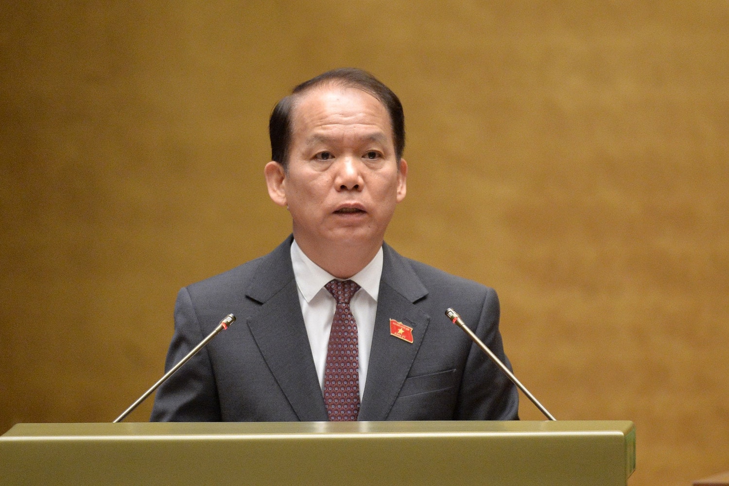 uy-vien-uy-ban-thuong-vu-quoc-hoi-hoang-thanh-tung-trinh-bay.jpg