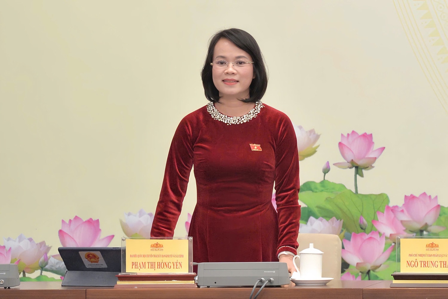 dai-bieu-quoc-hoi-chuyen-trach-uy-ban-kinh-te-va-tai-chinh-pham-thi-hong-yen.jpg