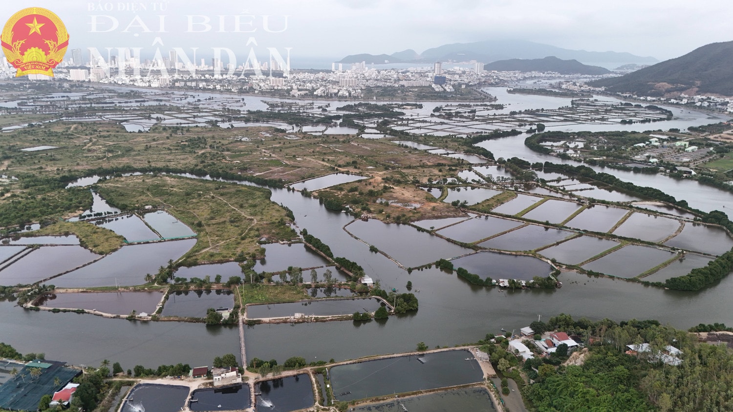 dbnd_tl_phuoc-long-vinh-thai-nha-trang.jpg