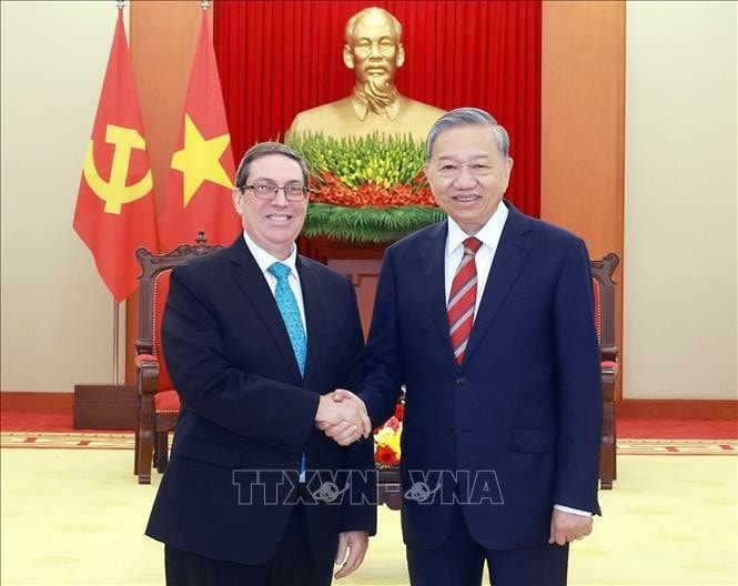 Tổng Bí thư Tô Lâm tiếp Bộ trưởng Ngoại giao Cuba Bruno Rodríguez Parrilla. Ảnh: Thống Nhất/TTXVN