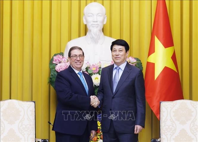 Chủ tịch nước Lương Cường tiếp Bộ trưởng Ngoại giao Cuba Bruno Rodríguez Parrilla. Ảnh: Lâm Khánh/TTXVN