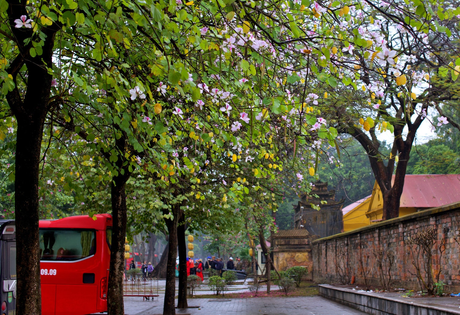 0p3a9920.jpg