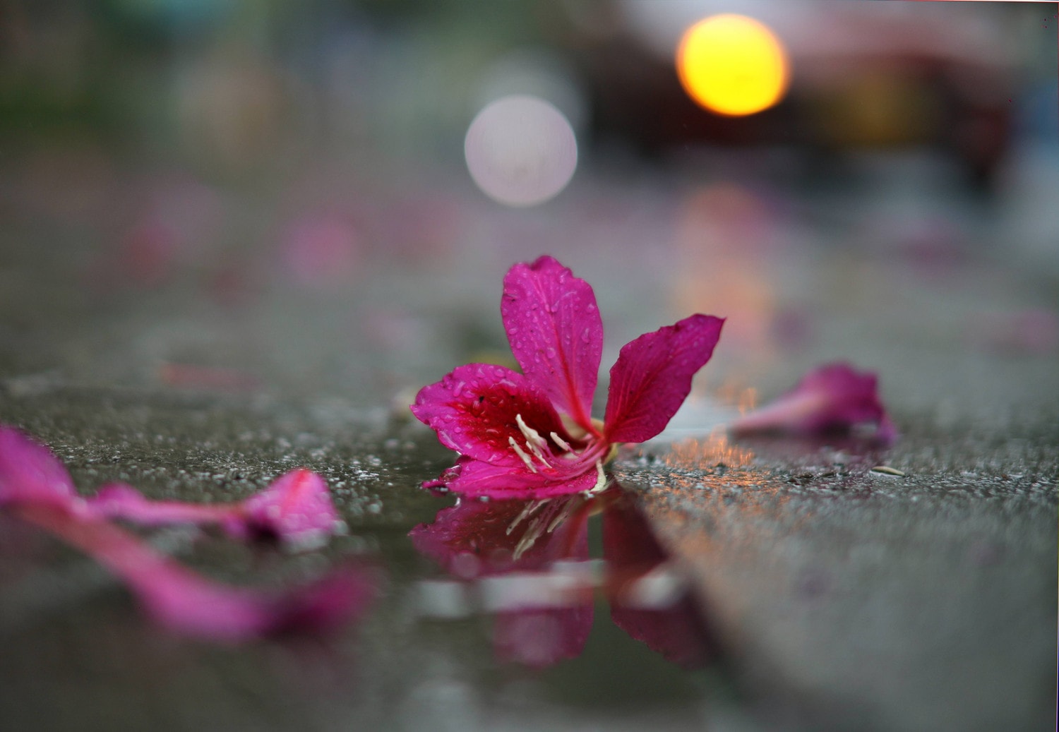 0p3a9625.jpg