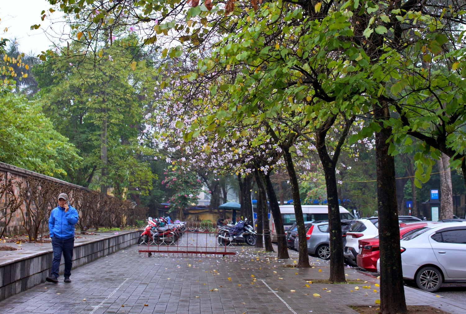 0p3a9915.jpg