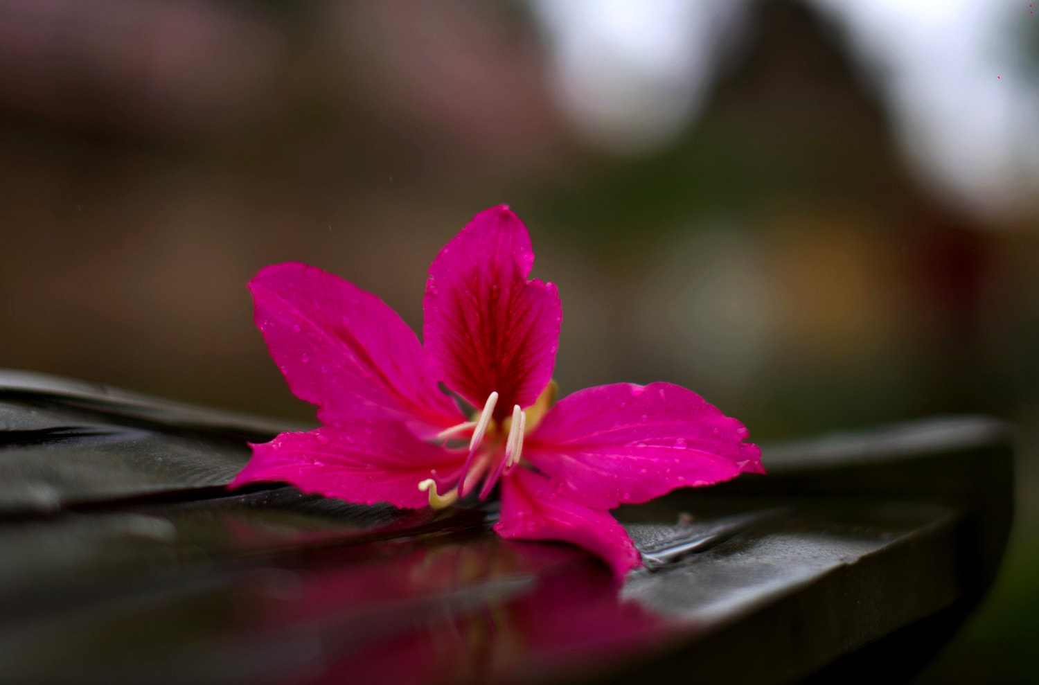0p3a9829.jpg