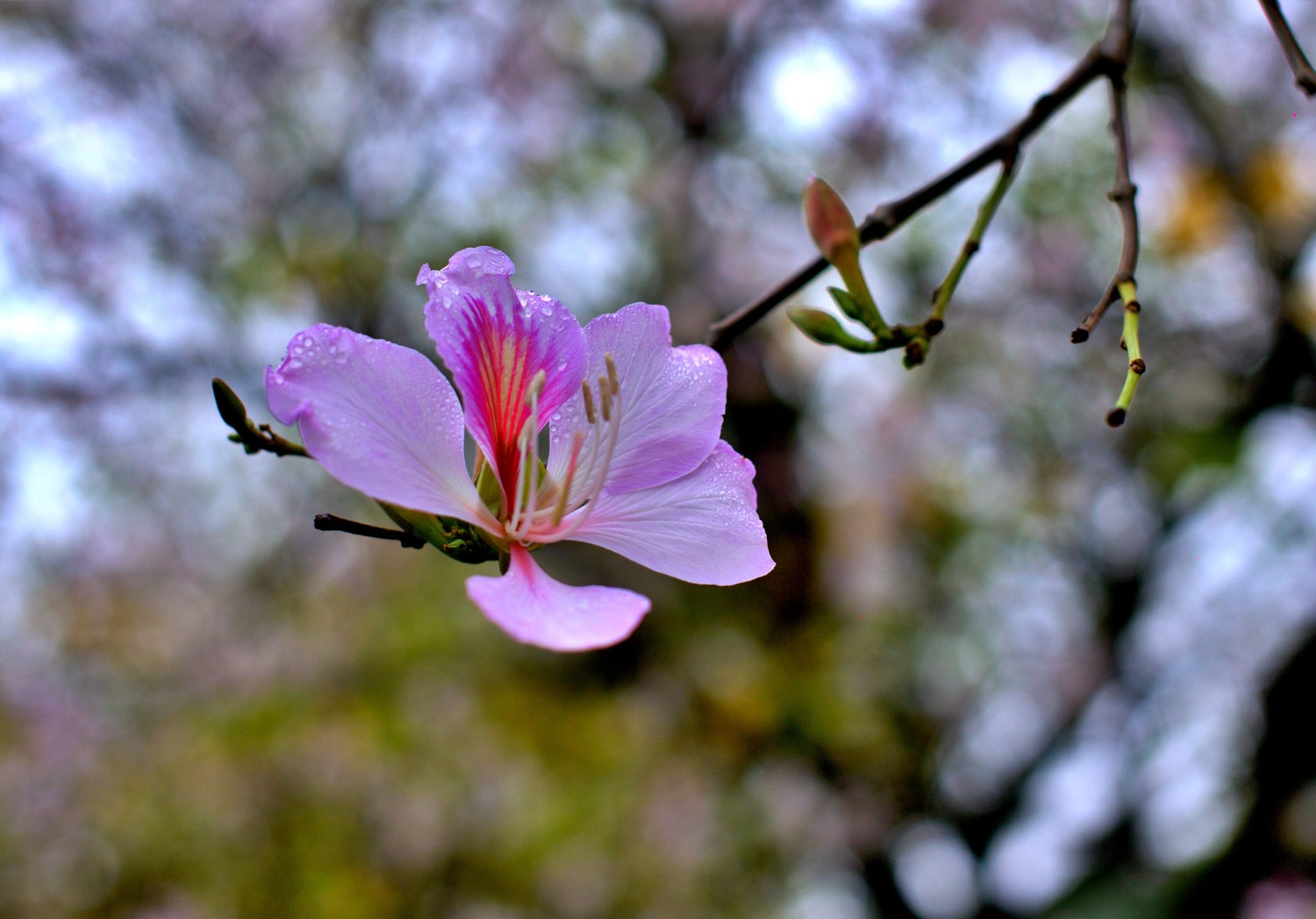 0p3a9888.jpg