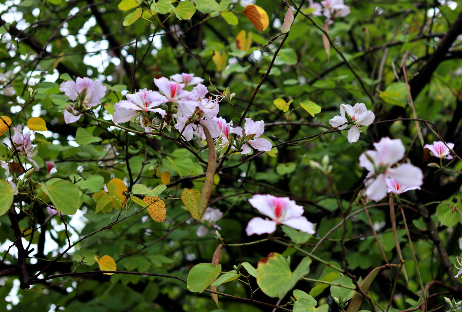 0p3a9851.jpg