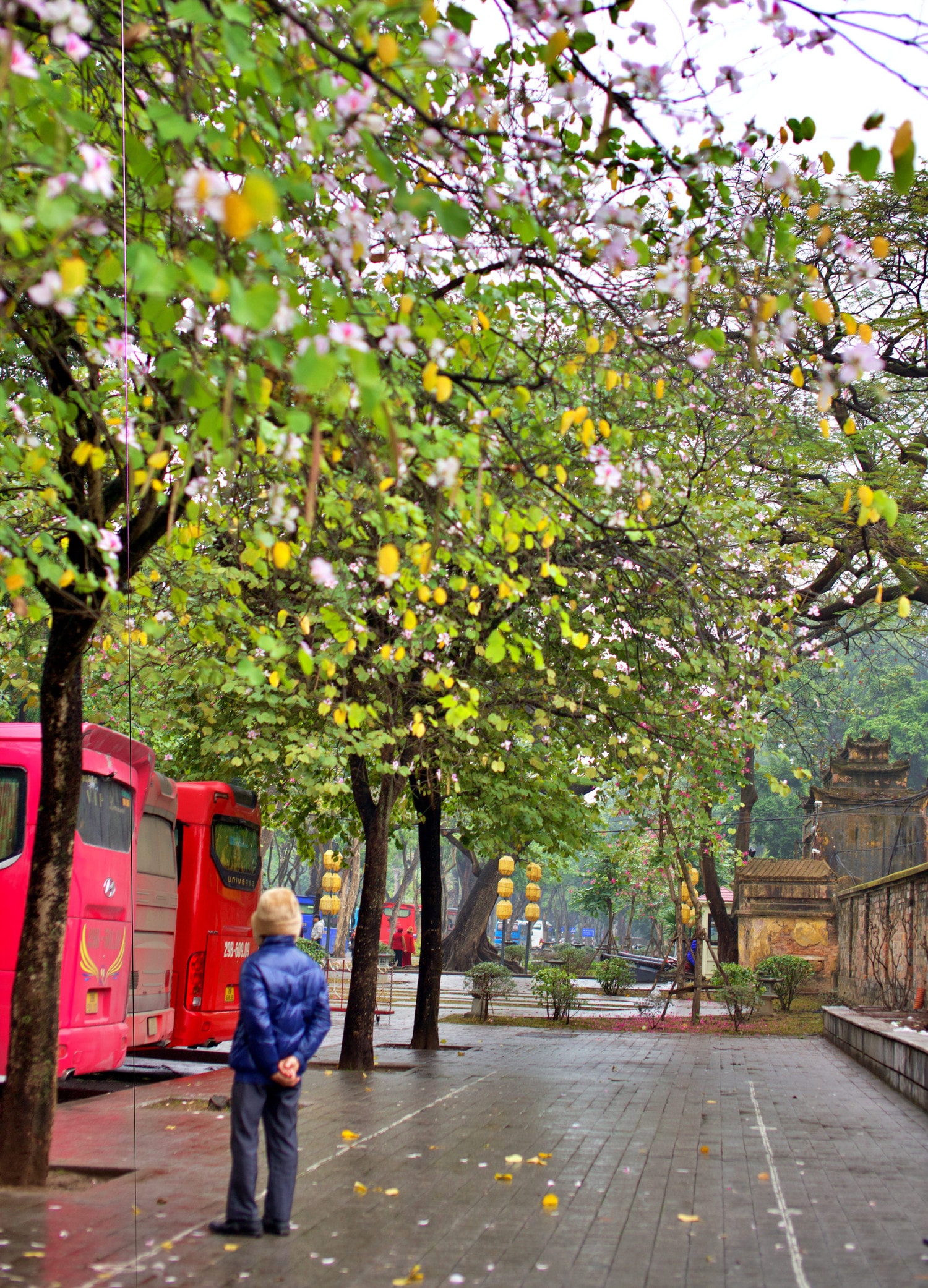 0p3a9858.jpg