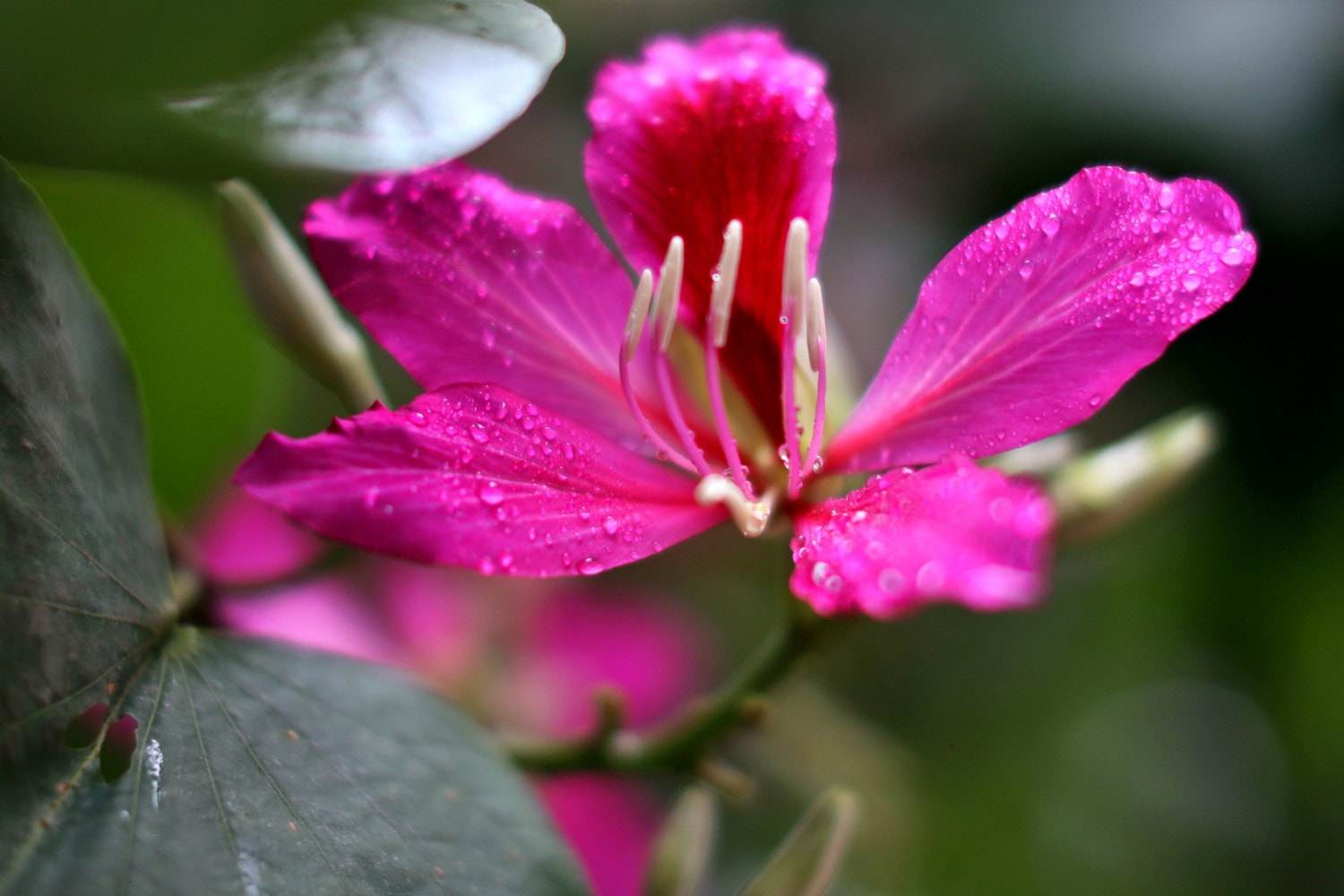 0p3a9525.jpg