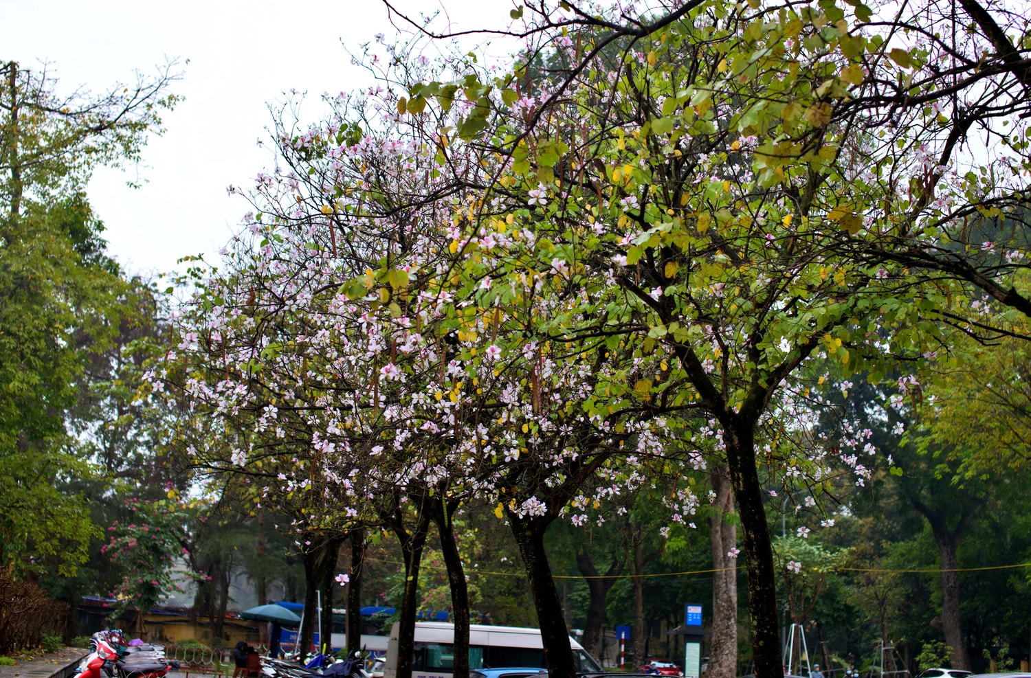 0p3a9900.jpg