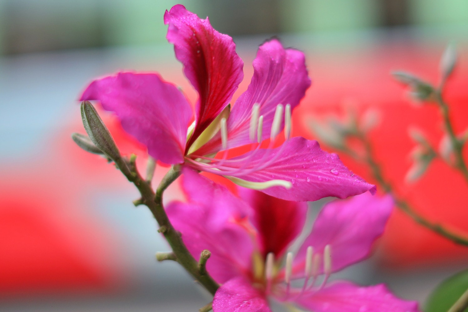0p3a9478.jpg