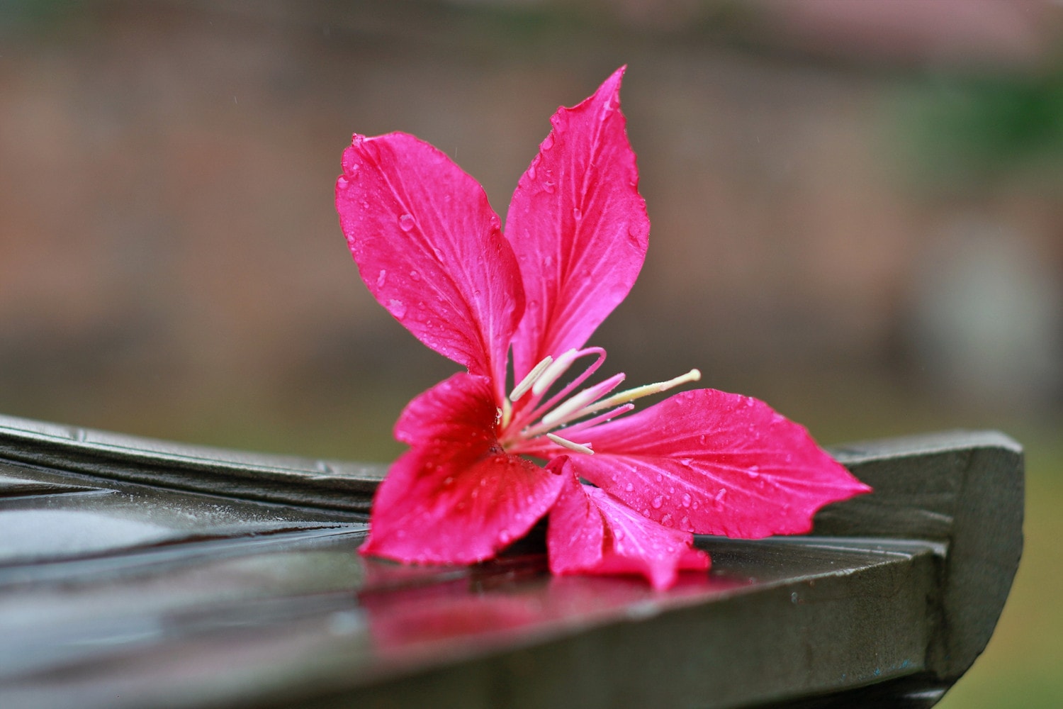 0p3a9773.jpg