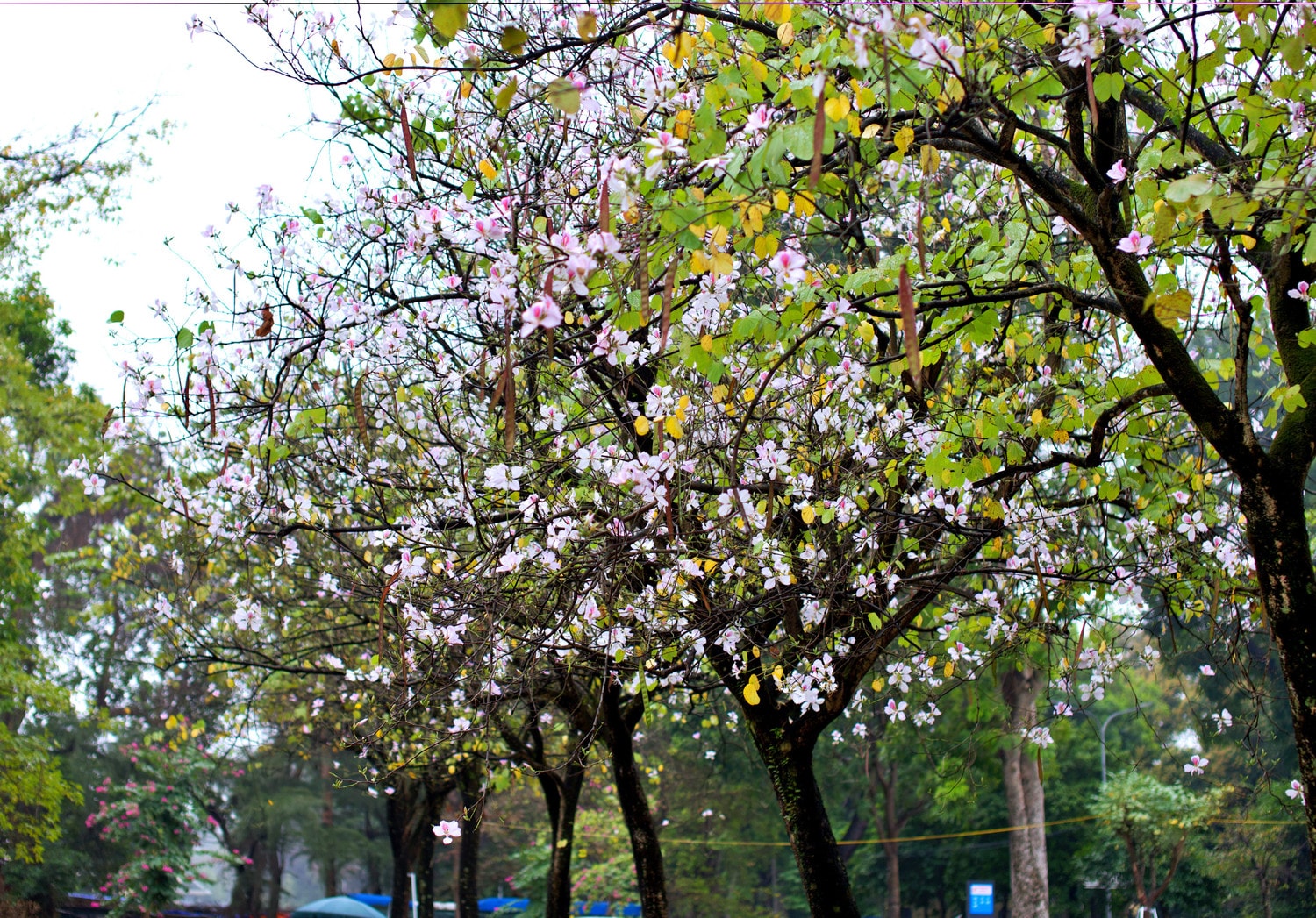 0p3a9865.jpg