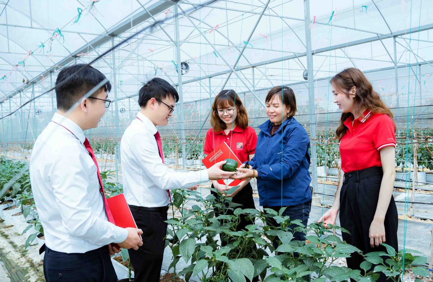 Agribank luôn dành ưu đãi cho các mô hình nông nghiệp xanh, sạch. Ảnh: Agribank