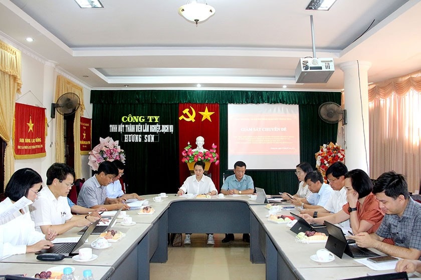 Đoàn giám sát làm việc với Công ty TNHH một thành viên Lâm nghiệp và Dịch vụ Hương Sơn. Ảnh: Châu San