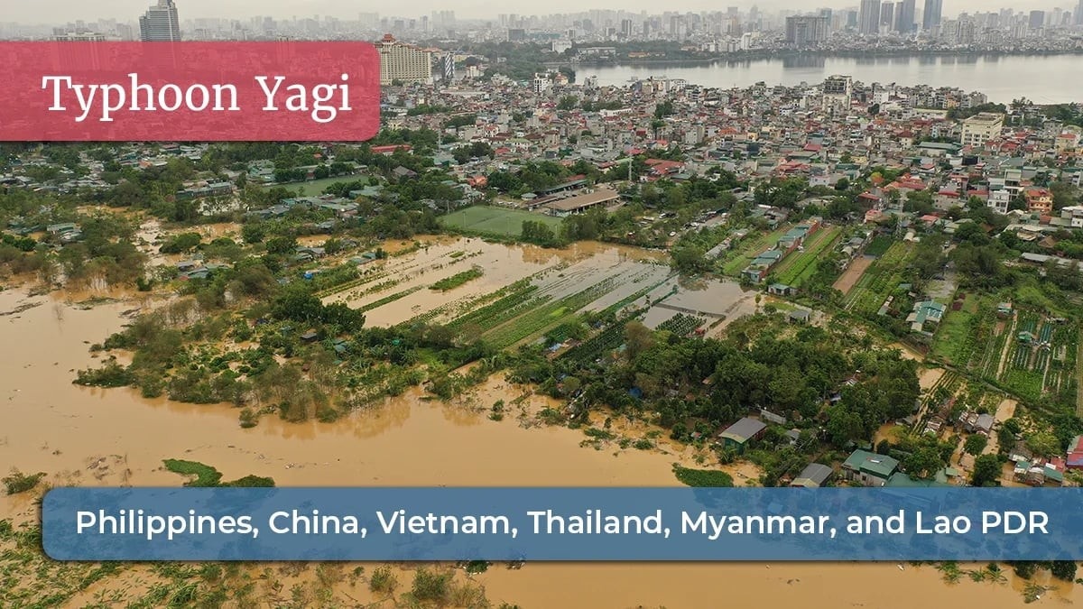 Bão Yagi năm 2024 gây thiệt hại nghiêm trọng cho các nước Đông Nam Á. Ảnh: reinasia