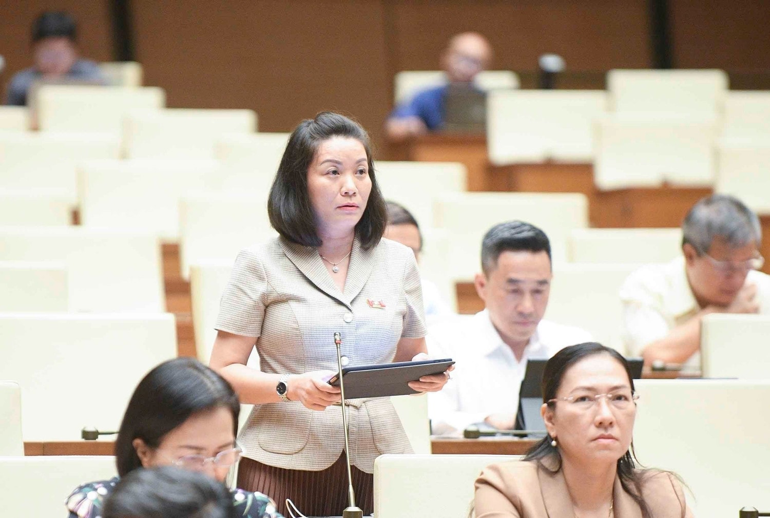 ĐBQH Nguyễn Thị Minh Tâm (Quảng Bình)