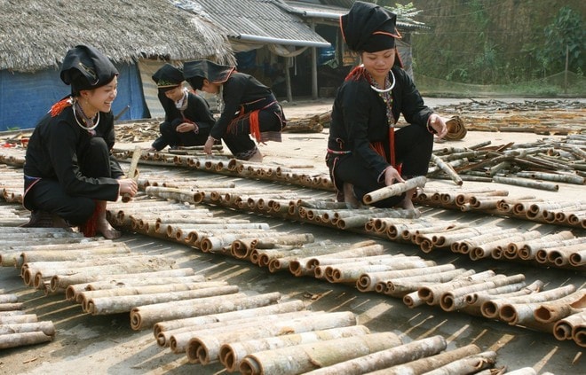 Cinnamon from Yen Bai province is processed into 50 product types, with 28 products certified as OCOP 3-star or higher. (Photo: VNA) Cinnamon from Yen Bai province is processed into 50 product types, with 28 products certified as OCOP 3-star or higher. (Photo: VNA)