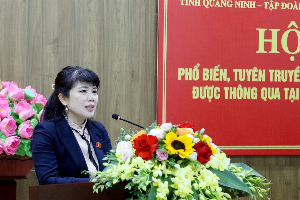 2316690-dong-chi-nguyen-thi-thu-ha-pho-truong-doan-dbqh-tinh-phat-bieu-ket-luan-hoi-nghi-11374724.jpg
