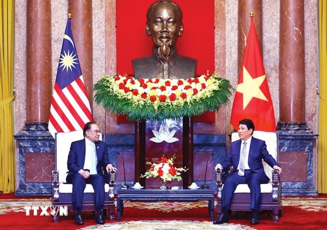 ctn-luong-cuong2.jpg