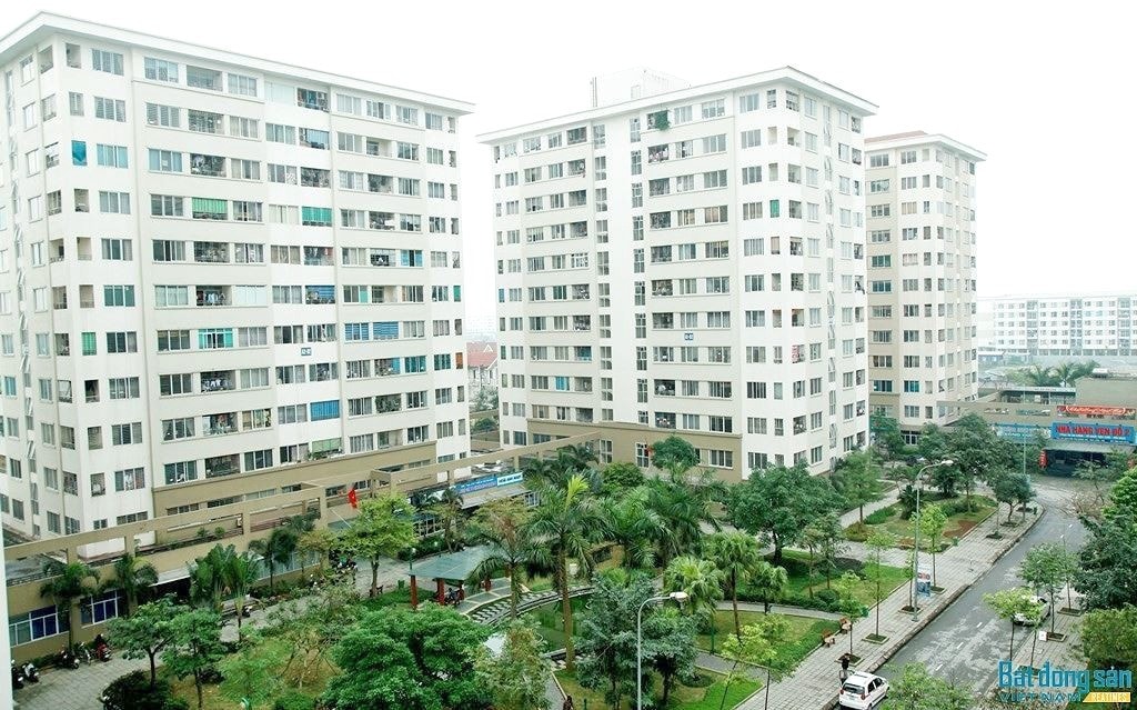 g1.jpg
