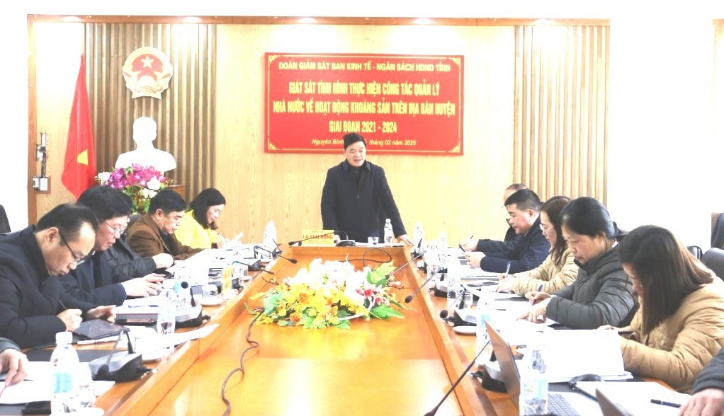 133882-truong-ban-kinh-te-ngan-sach-hdnd-tinh-la-van-hong-phat-bieu-tai-buoi-giam-sat-17480425.jpg