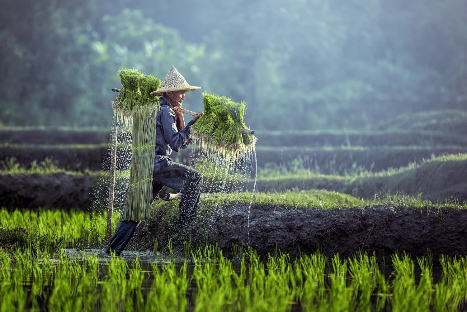 Nông dân Indonesia. Nguồn: ITN