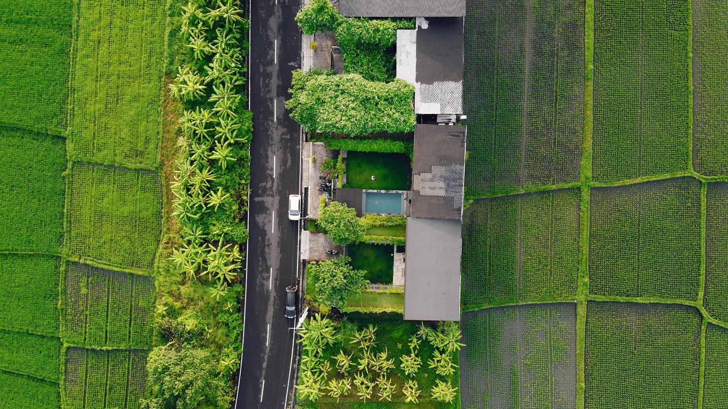 Cánh đồng ở Indonesia nhìn từ trên cao xuống