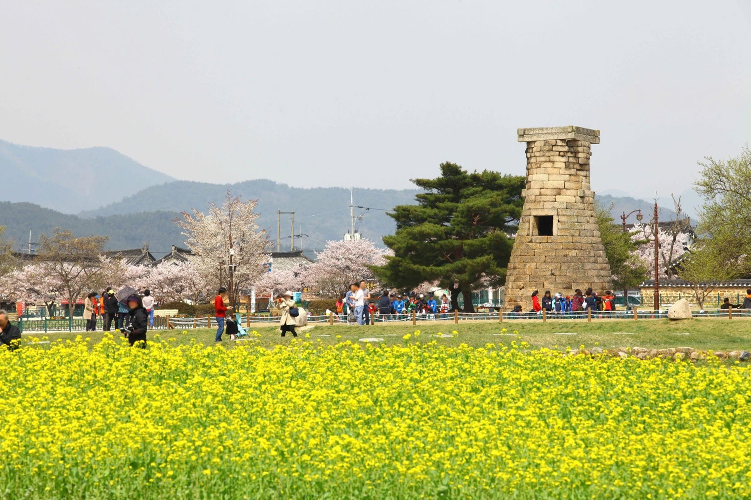 3-le-hoi-hoa-anh-dao-gyeongju.jpg