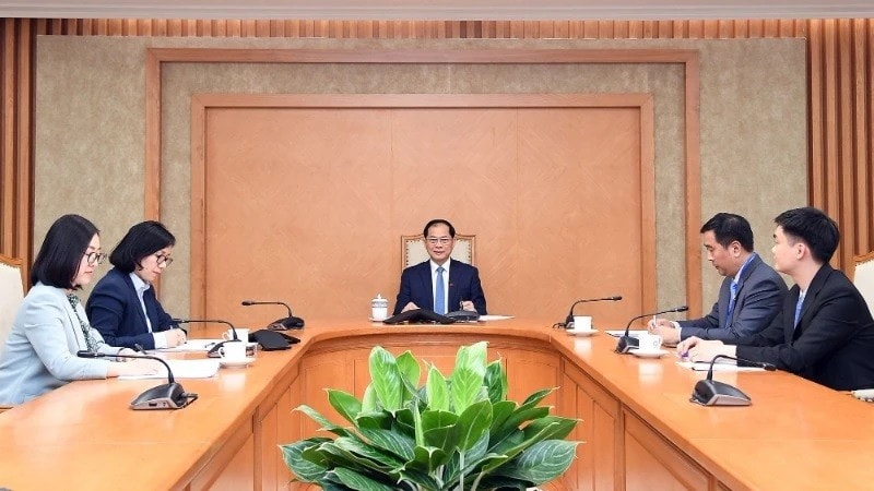 Phó Thủ tướng Chính phủ, Bộ trưởng Ngoại giao Bùi Thanh Sơn điện đàm với Bộ trưởng Ngoại giao Thổ Nhĩ Kỳ Hakan Fidan. Ảnh: Bộ Ngoại giao Việt Nam